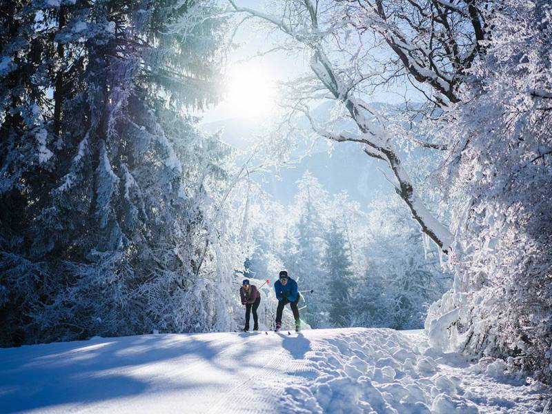 langlaufen-winter-3_original